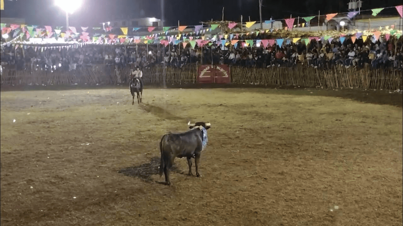 La tragedia empañó las fiestas de San Juan Nepomuceno.